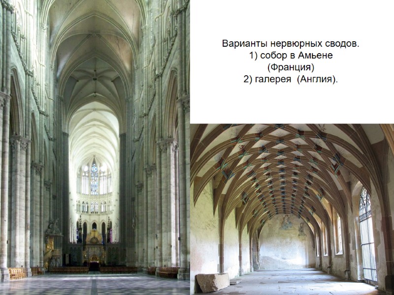 Варианты нервюрных сводов. 1) собор в Амьене (Франция) 2) галерея  (Англия).